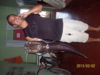 /album/galeria-de-fotos/rosy-331-jpg/